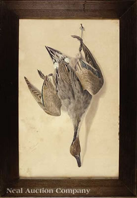 "Nature Morte: Pintail"