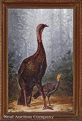 "Louisiana Eastern Wild Turkeys (Tom and Jake)"