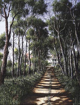 Forgotten Lane