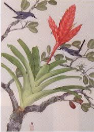 Bromeliad and Bluebirds
