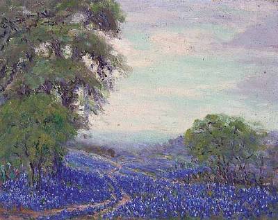 Texas Bluebonnets