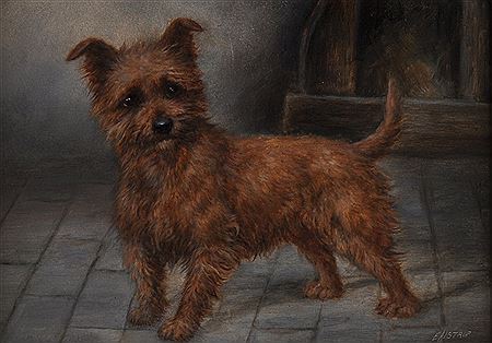 A Terrier in a Yard