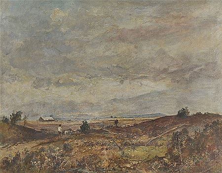 "Rough Moorland, Cumberland"