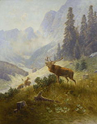 Röhrender Hirsch