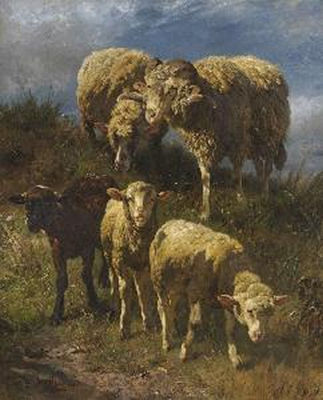 Schaffamilie
