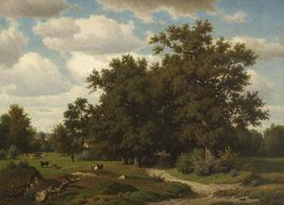 Baumlandschaft mit Kühen auf der Weide