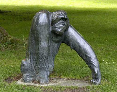 Orang-Utan