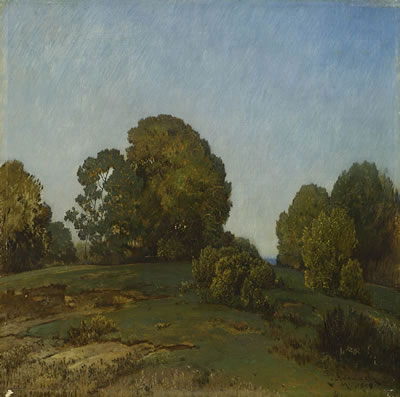 Hügelige Baumlandschaft