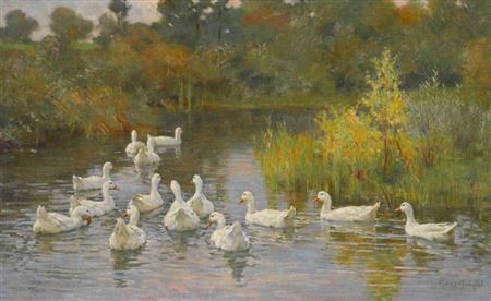 Enten im Wasser"