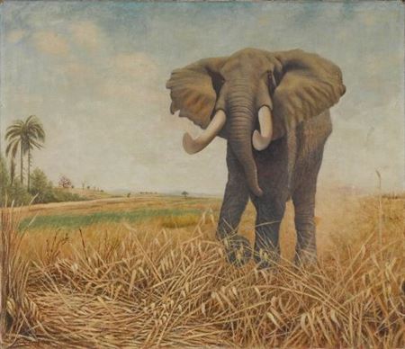 "Elefant in der Savanne" by Rudolf Schulz-Borek - Auction record, sale price, and art valuation. Compare with similar artists and explore comparable artworks.