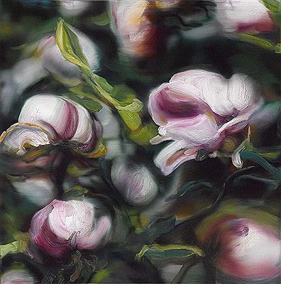Magnolien. 2010