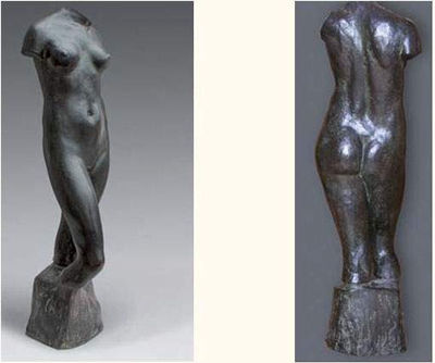 Torso