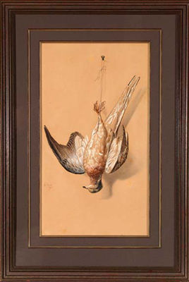 Nature Morte: Passenger Pigeon