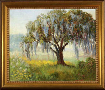 "Louisiana Live Oak Draped with Spanish Moss"