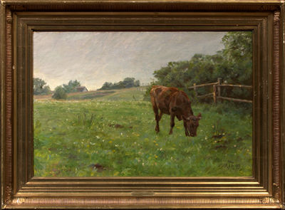 Cow Grazing in a Pasture, 1898