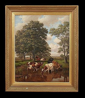 "Highland Cattle"