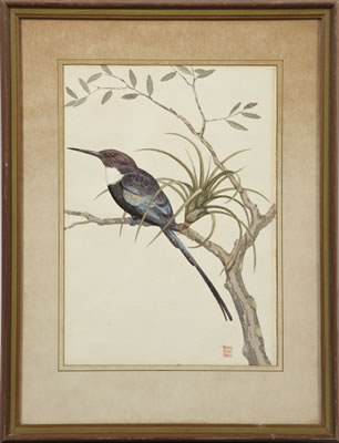 Bluebird on a Branch