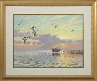 Pintail Passing