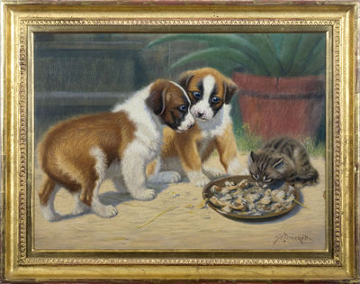 TWO SAINT BERNARD PUPPIES AND A KITTEN