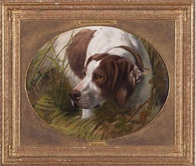 PORTRAIT OF A POINTER: DRAKE.