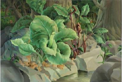 Woodland Plants