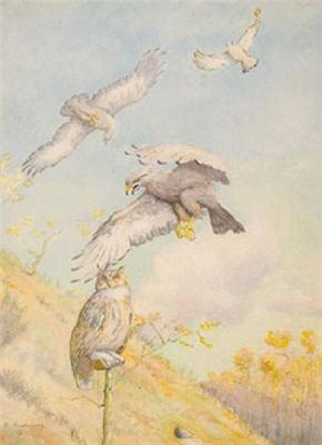 "La destruction des oiseaux de proie diurnes avec le grand-duc naturalisé articulé". by Alfred Louis Andrieux - Auction record, sale price, and art valuation. Compare with similar artists and explore comparable artworks.