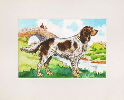 "Epagneul picard". by Jean Alfred Dupuich - Auction record, sale price, and art valuation. Compare with similar artists and explore comparable artworks.