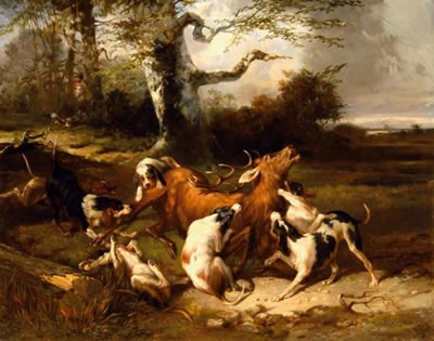 Hallali du cerf