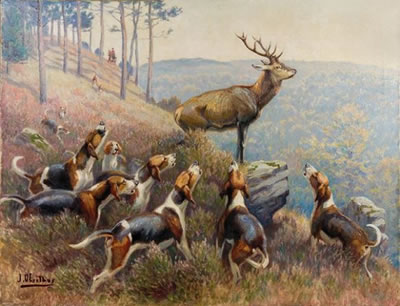 Hallali du cerf en fôret d'Ecouves.