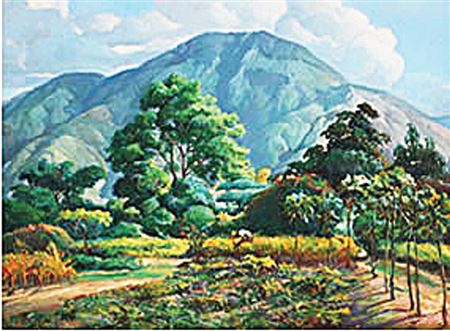 Campo tranquilo