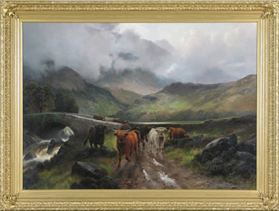 Highland cattle