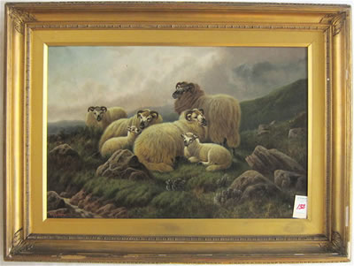 Pastoral landscape with sheep