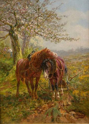 Chevaux de labour