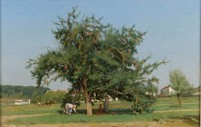 Le ramassage des pommes