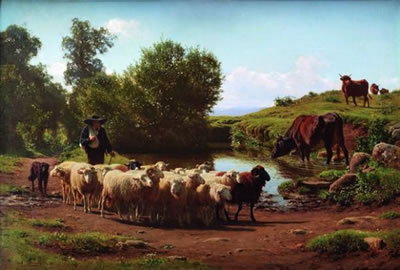 La rentrée du troupeau
