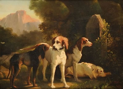 Chiens de chasse au repos