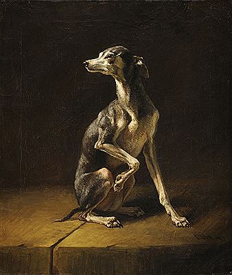 Le Lévrier