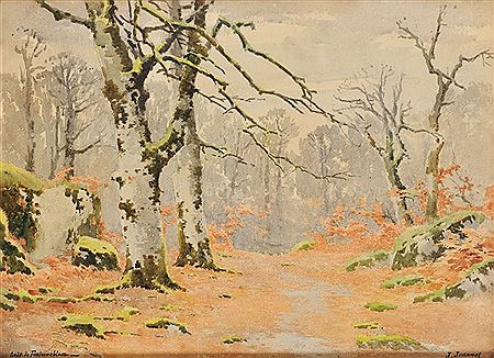 Forêt de Fontainebleau