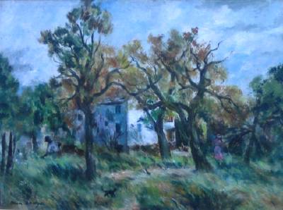 Oaks in Spring