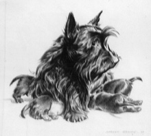 Black Scottie with Puppies by Morgan Dennis - Auction record, sale price, and art valuation. Compare with similar artists and explore comparable artworks.