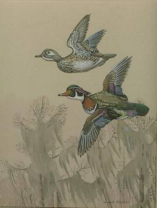 Artwork by Edward Von Siebold Dingle