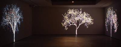 Sample artwork by Jennifer Steinkamp (Born 1958), known for video and digital-based installation, nature themes - View similar artists and auction records
