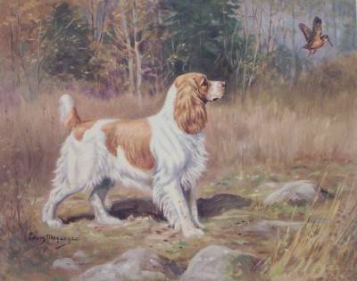 Edwin Megargee - artist photo for art wanted listing (Pembroke, MA)