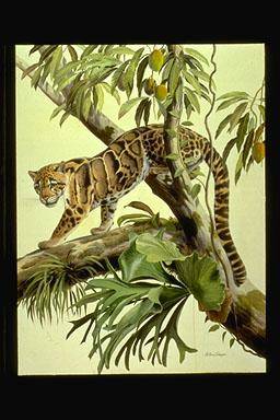 Sample artwork by Arthur Singer (1917 - 1990), known for wildlife, illustrator - View similar artists and auction records