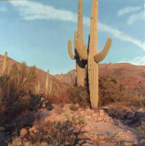 Sample artwork by John Cox (Born 1941), known for plein-air landscape, figurative, nudes - View similar artists and auction records