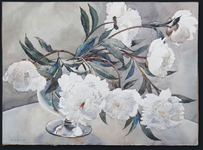 Still life with white peonies in a vase