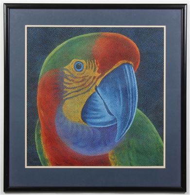 Parrot