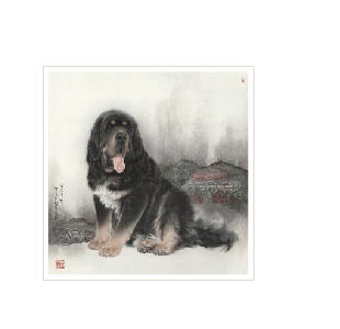 Dog