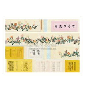 CHRYSANTHEMUM