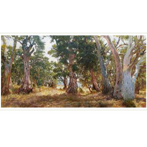 THE VITALITY OF 1000-YEAR-OLD TREES